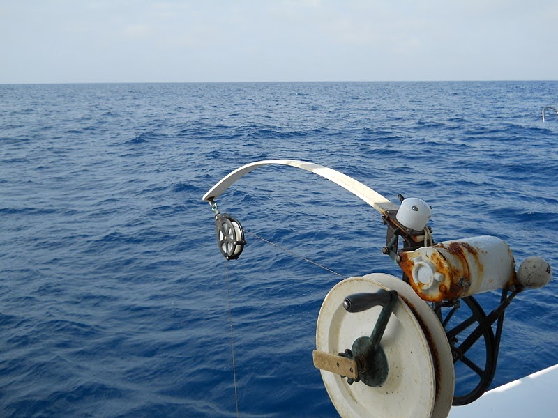 Stay In Touch With Collier County's Sea Grant Extension Program