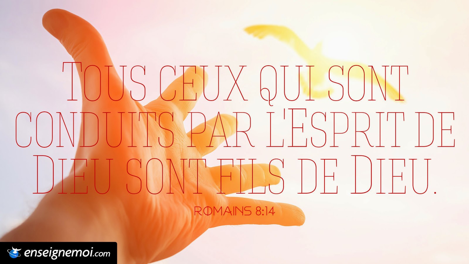 Michael Lebeau La présence de Dieu dans ta maison