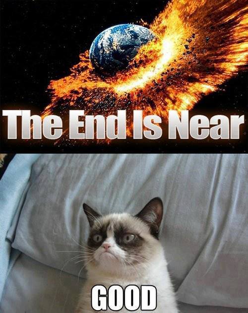 Picz I Like Grumpy Cat The End Is Near