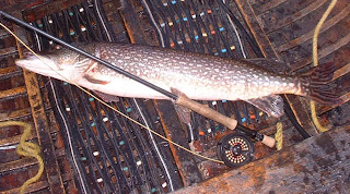 Fly Fishing for Trophy Northern Pike in Ontario Canada