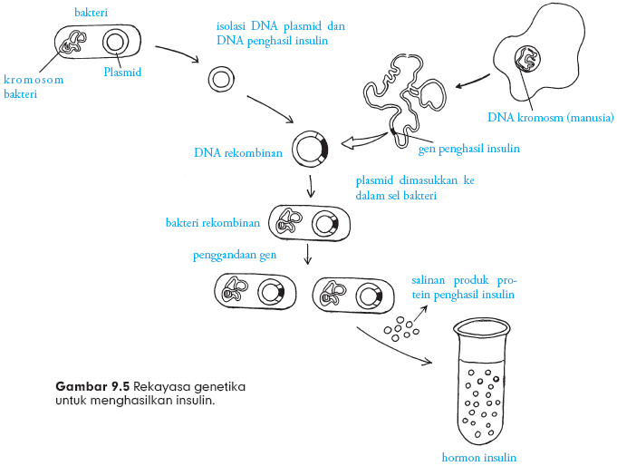 Belajar Serbaneka Bioteknologi
