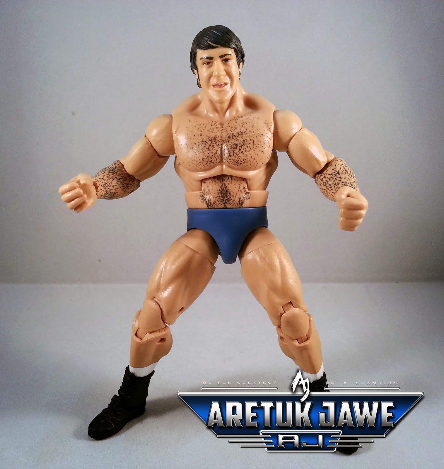 bruno sammartino elite