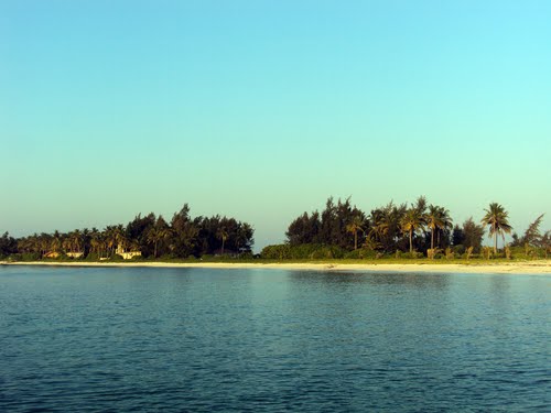 ÙØªÙØ¬Ø© Ø¨Ø­Ø« Ø§ÙØµÙØ± Ø¹Ù 7- Ø¬Ø²ÙØ±Ø© ÙØ§Ø¯ÙØ§ØªØ Ø§ÙÙÙØ¯: