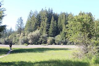 En haut du campus de l'UCSC University of California Santa Cruz