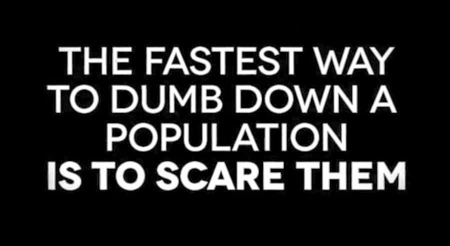 Politics and its Discontents: Ralph Nader On Harper's Politics Of Fear