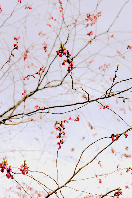 knopp+005 när som helst.