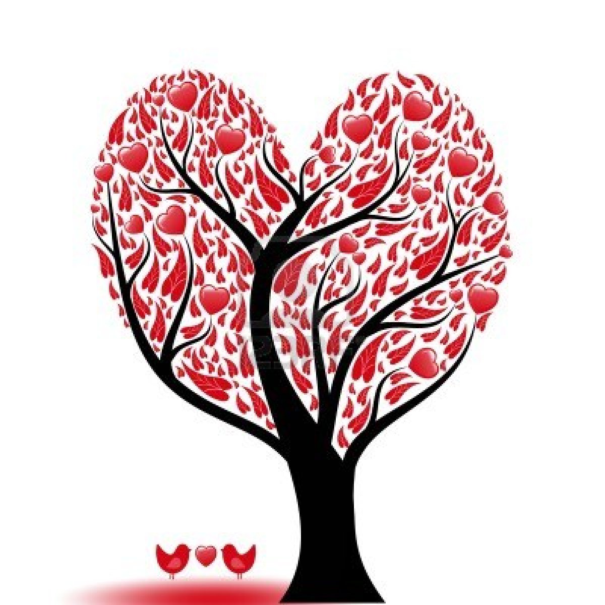 Imágenes de Amor con Movimiento - Imágenes de amor con