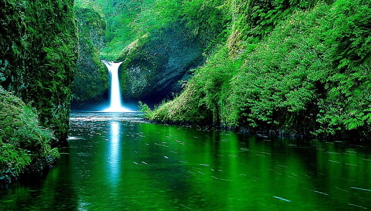 Hd Widescreen Nature Wallpapers and Background Hd Widescreen Nature Wallpapers and Background