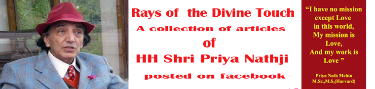 Rays of Divine Touch -  A collection of articles of HH Priya Nath on facebook