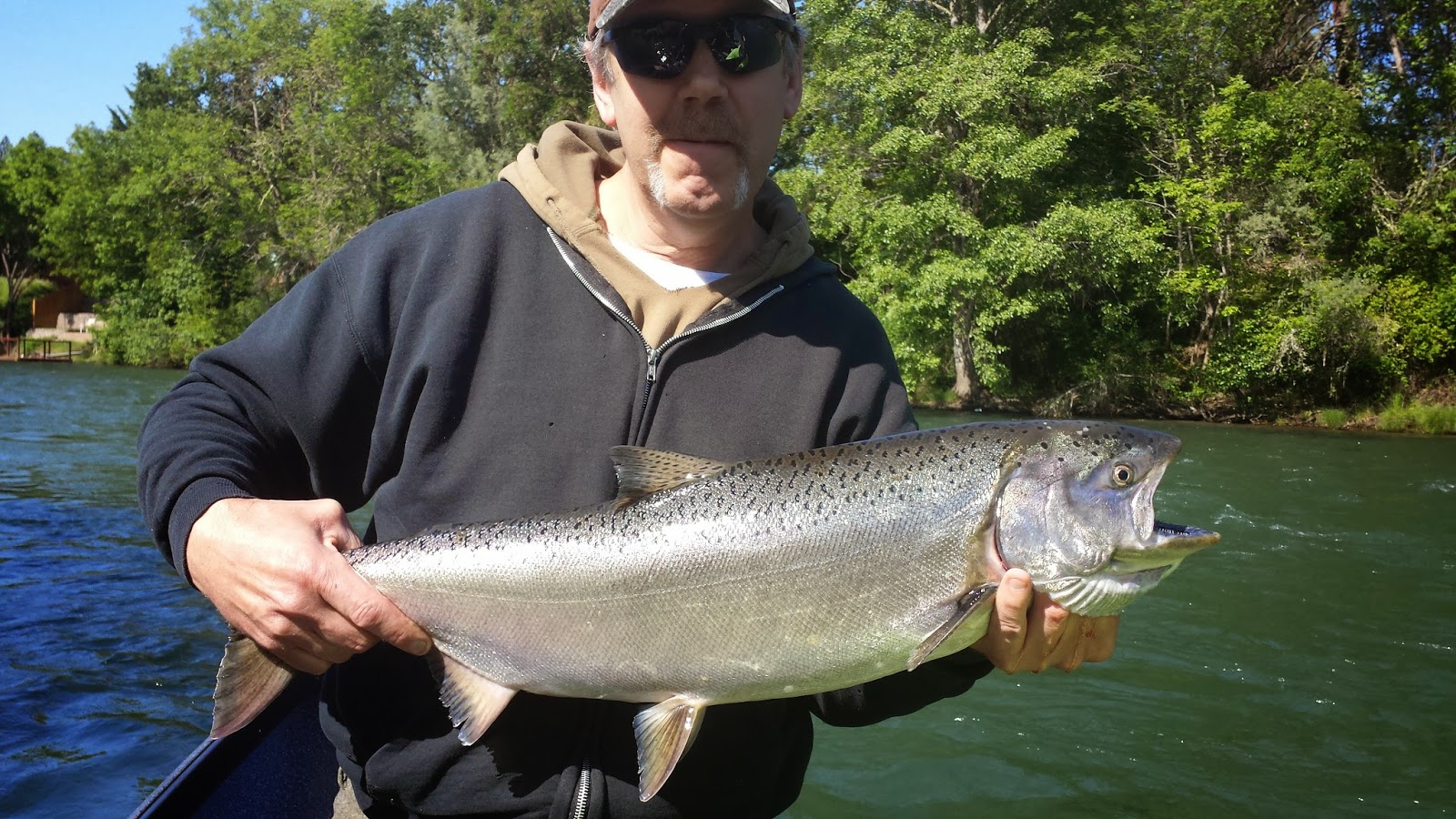 Steelhead fishing report sw oregon