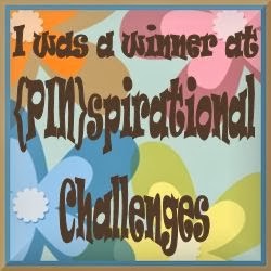 2 x {PIN}spirational Challenge Winner