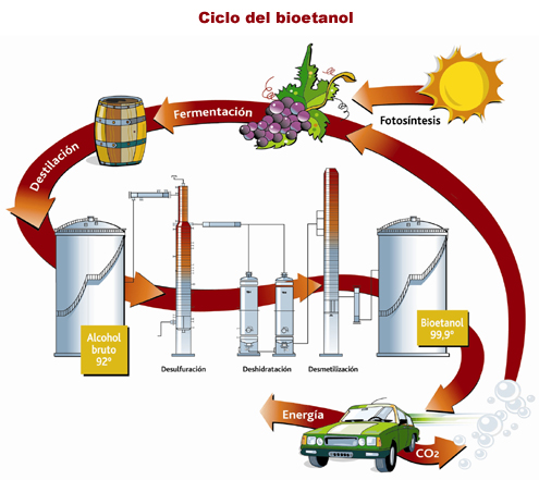 GASOLINA DERIVADOS gasolina derivados: