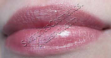 Swatches Cosmetics Свотчи Косметики Губная помада для губ Lipstick Yves Saint Laurent №107