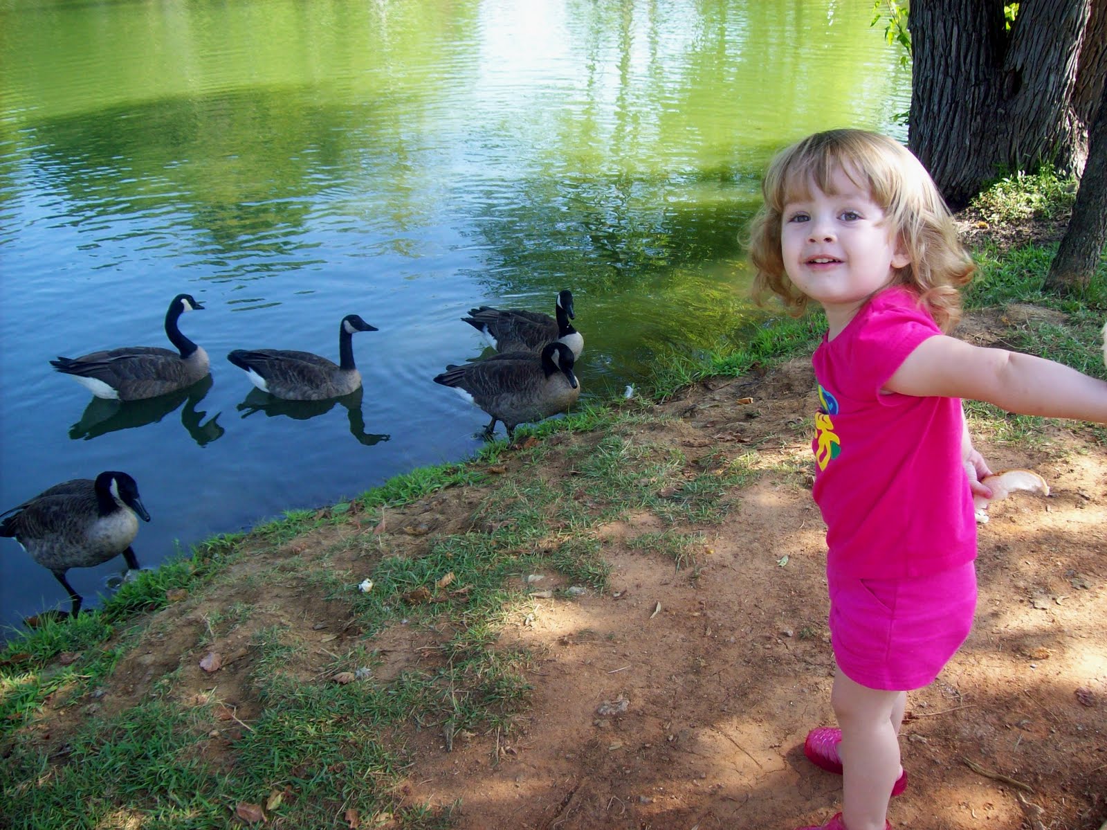 North Cabarrus Park