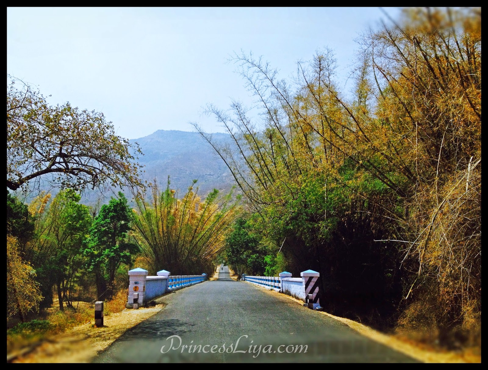 Bangalore To Ooty By Car Price Bangalore To Ooty By Car Price