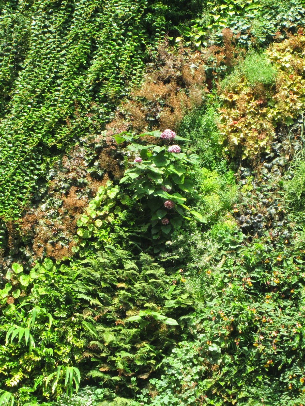 Paris Wall Gardens