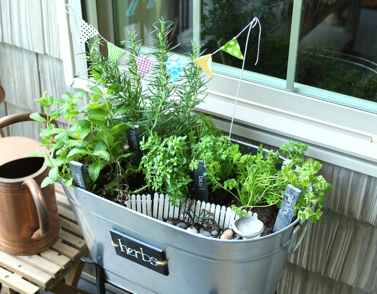 Miniature Garden Party of Herbs Less Than Perfect Life of Bliss