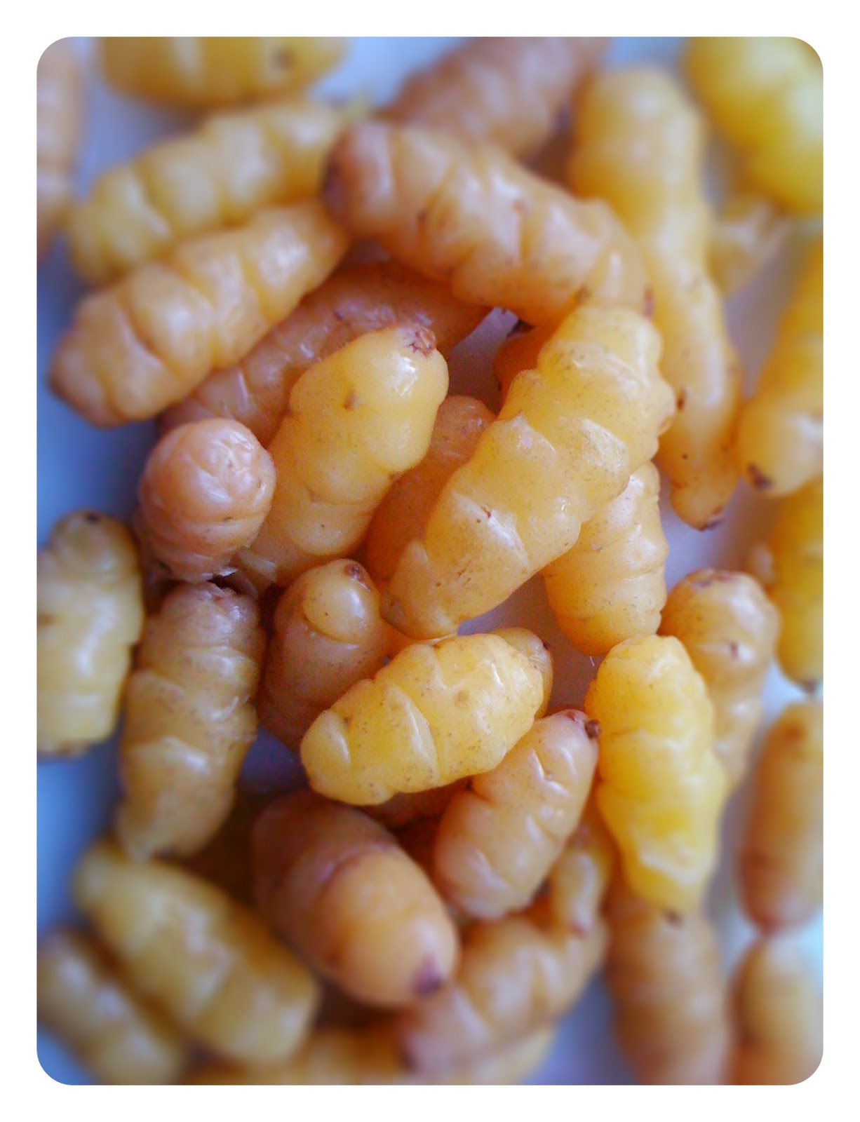 Vegan Recipes Roasted New Zealand Yams