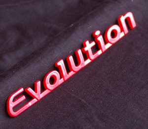 Evolution Emblem