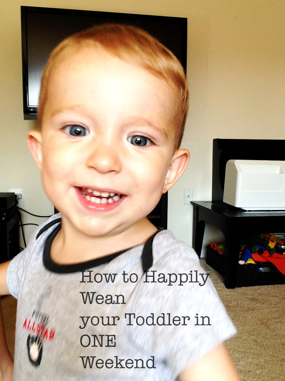 Essays on Motherhood How I Weaned my (almost) 2 Year Old