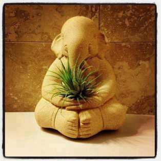 ganpati-photo-image-blogspot-in ganpati-photo-image-blogspot-in