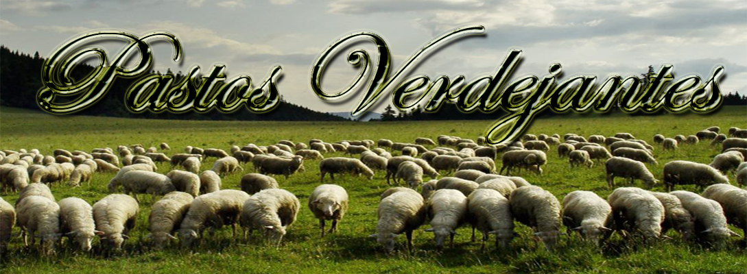 Pastos Verdejantes