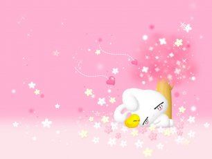 Hd Animals Rabbit Wallpaper Cartoon