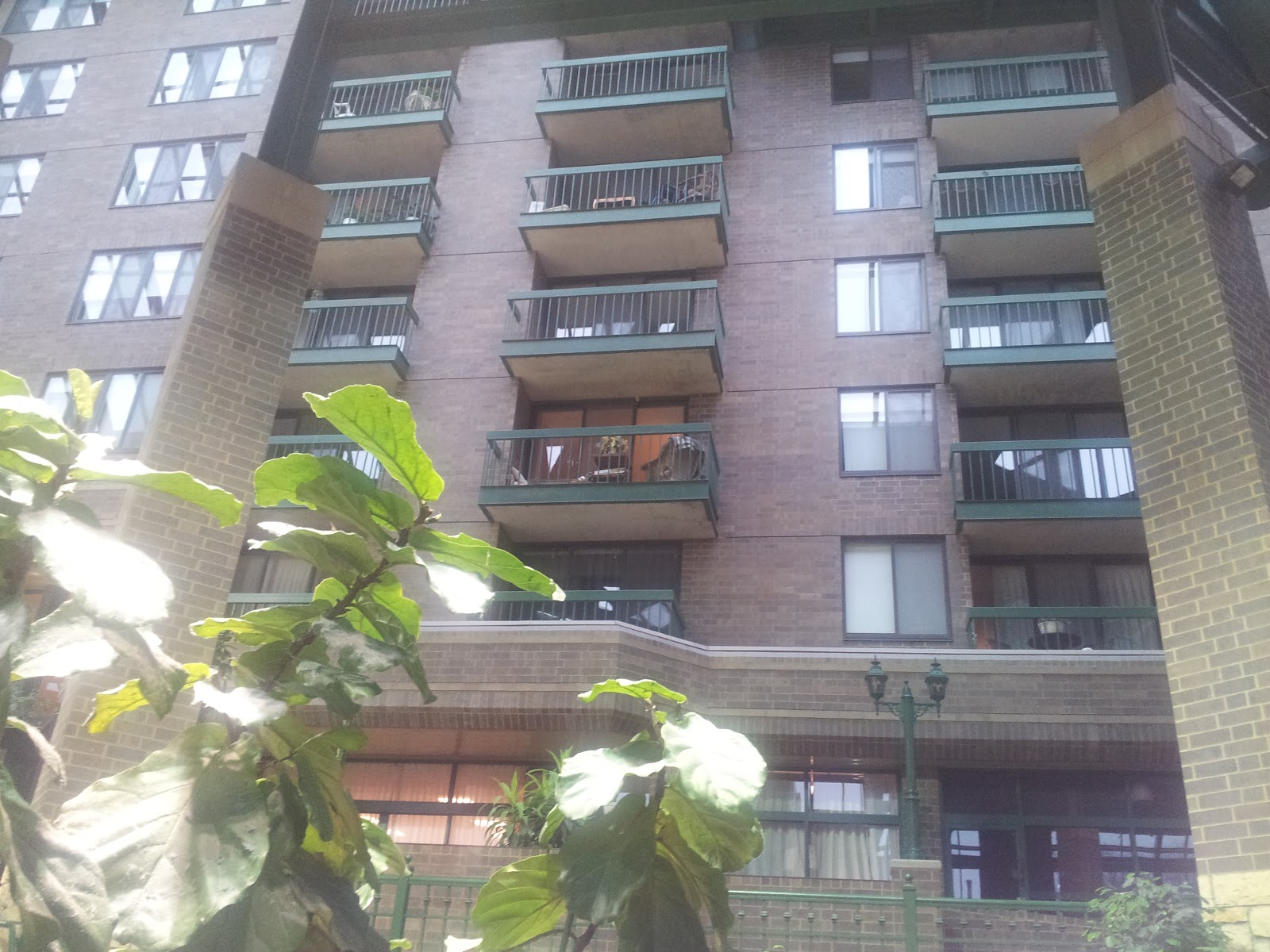 Suburban Conversion Edinborough Park Activated Indoor Open Space