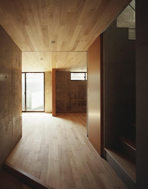 Bino the Minimalist House Design by Apollo