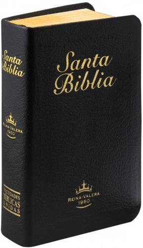 biblia reina valera 1960 gratis para celular español