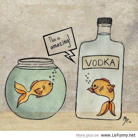 lefunny.net-funny-jokes-quotes-animals-pictures-Favim.com-568759_large.jpg