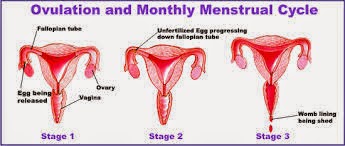 female masturbation in fresno ca women who bleed after sex sometimes and why