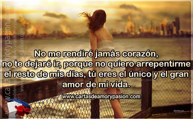 No me rendiré jamás ... Cartas de amor,