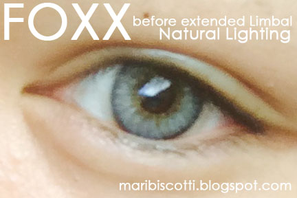 mari biscotti fxeyes contact