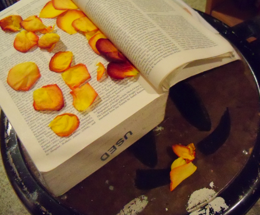 My Blog has moved to What Do You Do With Dead Roses?