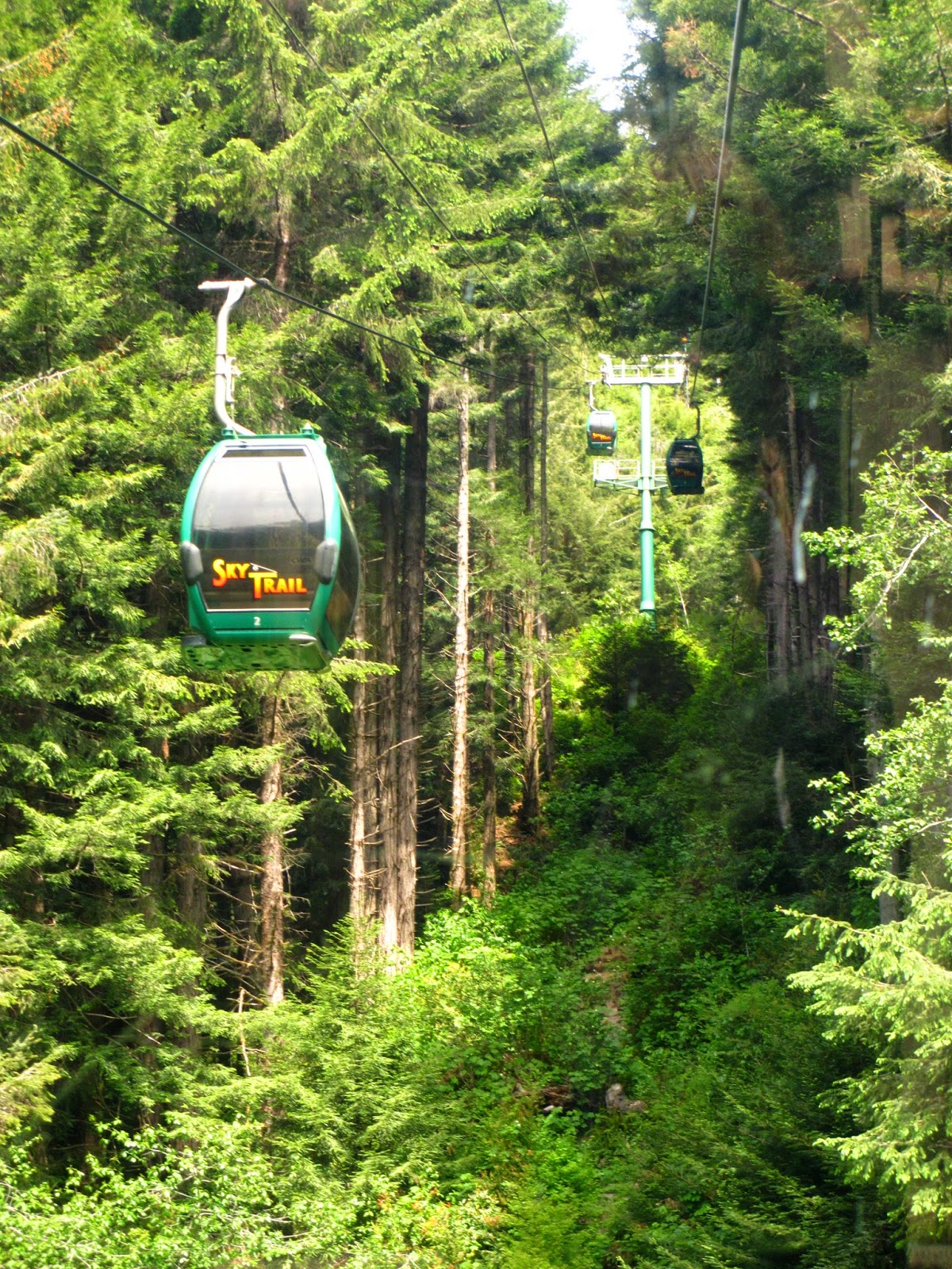 The Daily Apple Apple 675 Gondolas