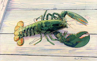 Live Lobster - Watercolor - 13" x 20" Live Lobster - Watercolor - 13" x 20"