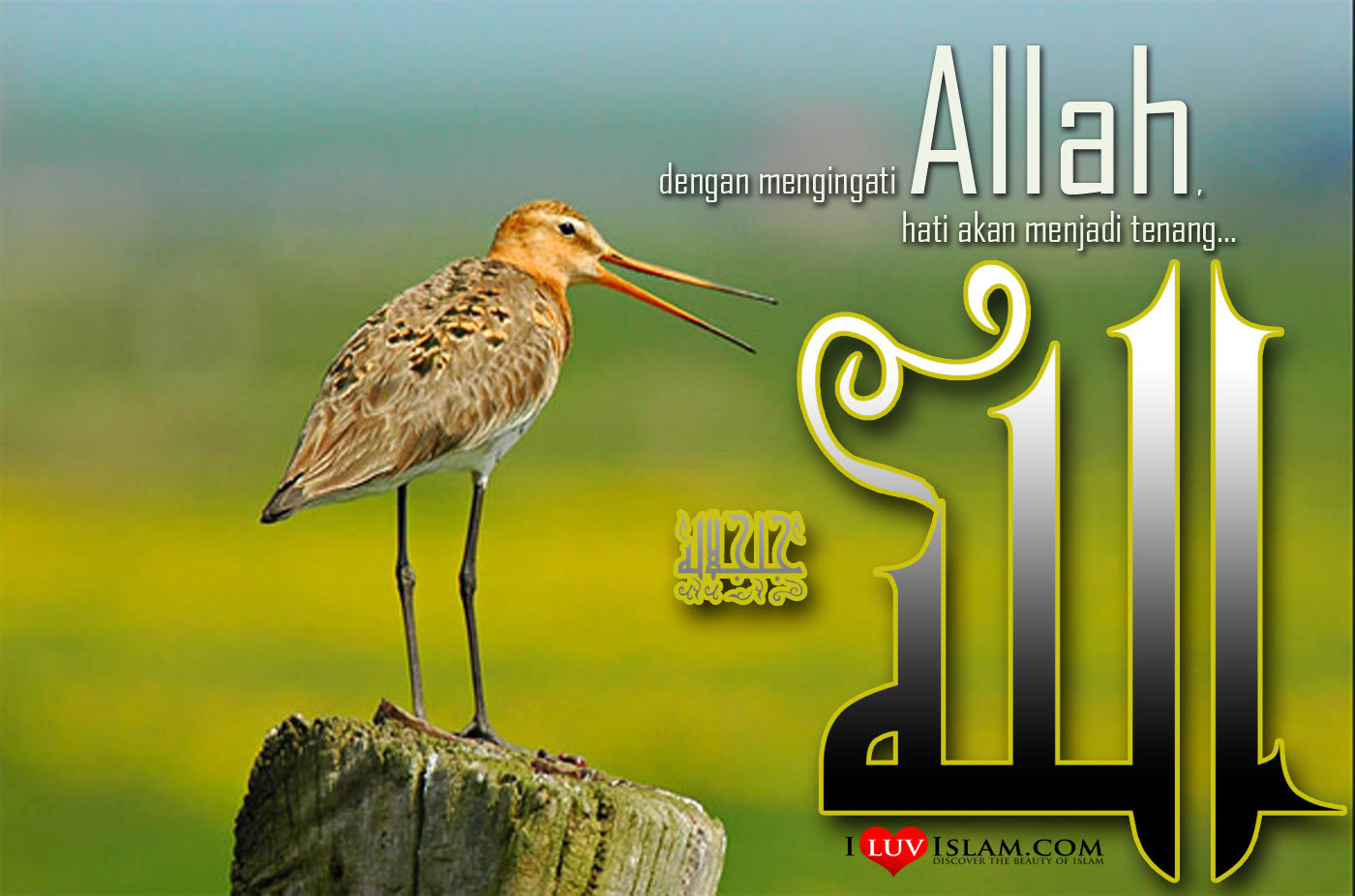 Zikir Mencerdaskan Otak Cerita Ceriti Ceritu Mamapipie