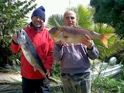 Pesca grossa nelle acque di Capo Peloro