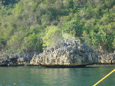 small rock island hopping