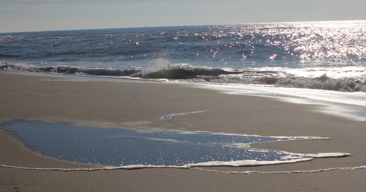 Birds, Butterflies and Sunsets The Tide Clocks and Charts