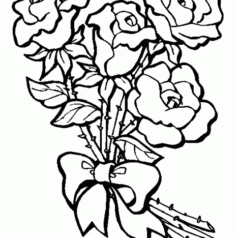 Carnation Coloring Page Carnation Coloring Page