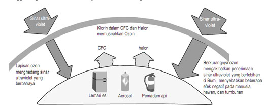Ozon berfungsi sebagai filter dari sinar ultraviolet yang berbahaya bagi kehidupan Ozon berfungsi sebagai filter dari sinar ultraviolet yang berbahaya bagi kehidupan