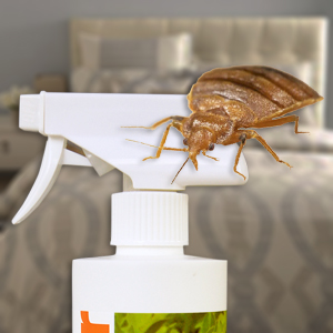 Best Bed Bug Spray