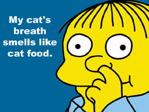 My Cat S Breath Smells Like Cat Food My Cat S Breath Smells Like Cat Food