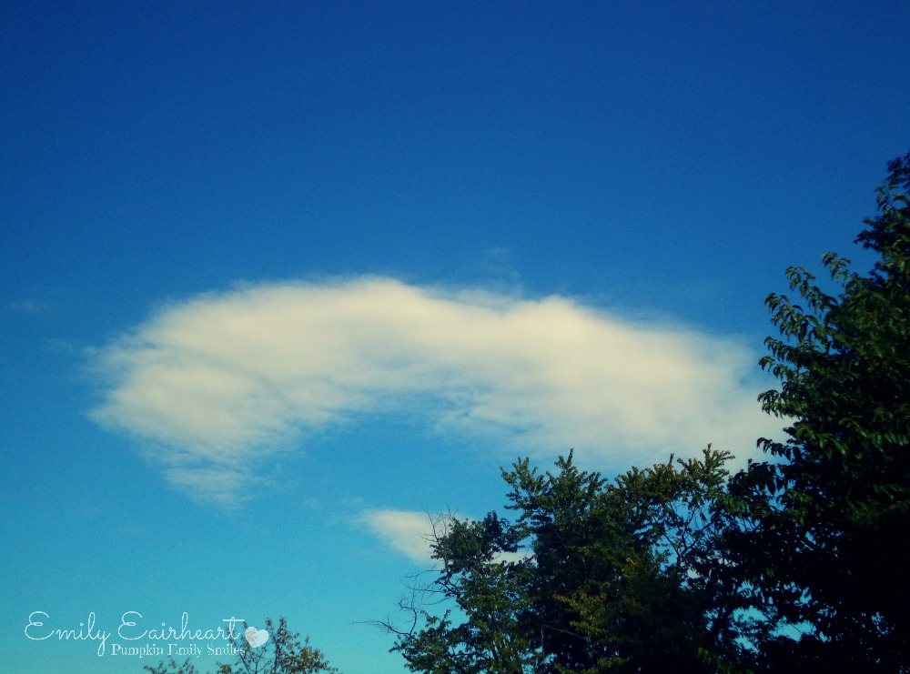 A cloud that looks like a crab and a blue sky.