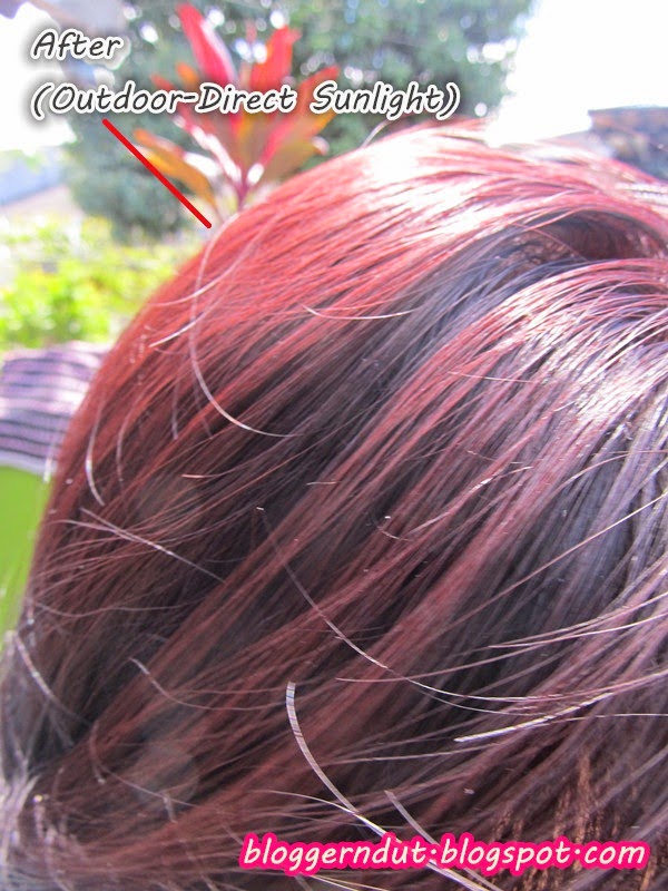Blogger Ndut Review Garnier Color Naturals Cream In Burgundy