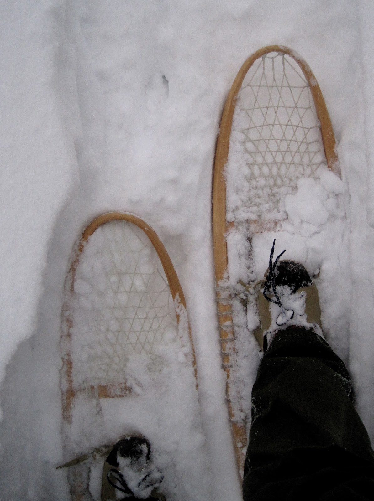 Wood and Rawhide Snowshoes, Twenty Inches of Snow!