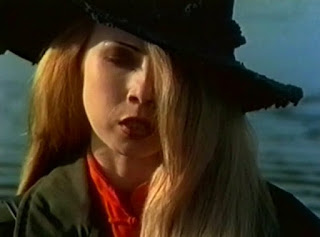 Skinner (1993)