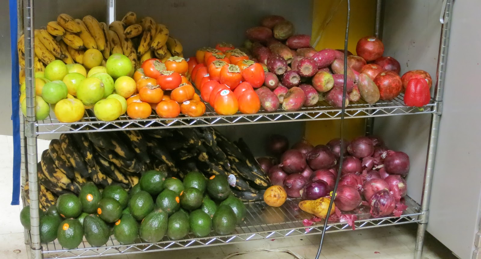 The Veracious Vegan Khepra's Raw Food Juice Bar, DC